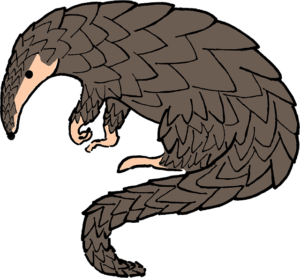 【ベトナム動物旅】クックフォン国立公園のセンザンコウ保護センターに潜入！