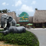 【ベトナム】動物好き必見！フーコック島「ヴィンパールサファリ」が最高におすすめ。行き方や動物情報まとめ。